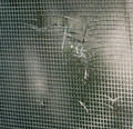 The Hole in the Screen