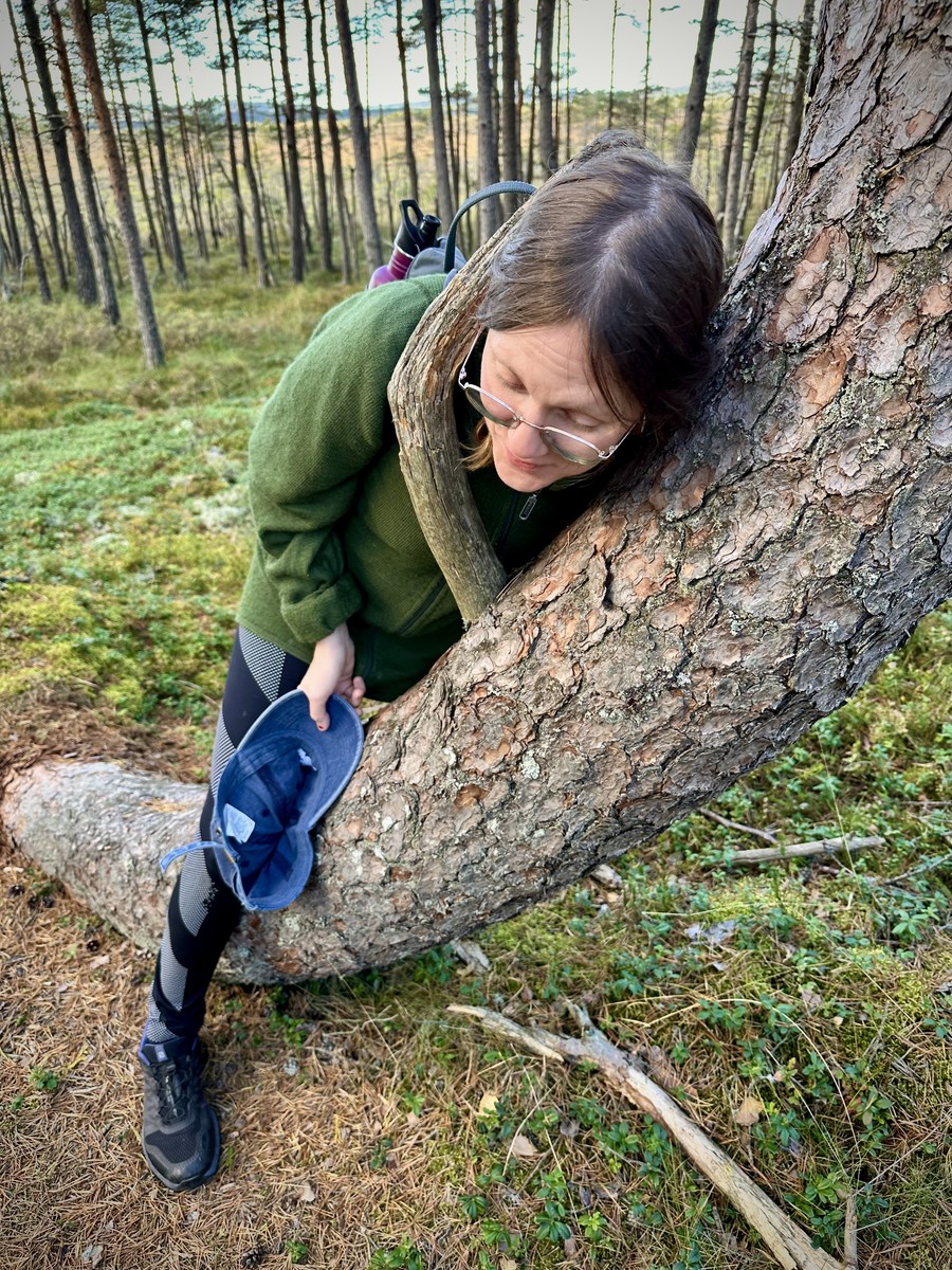 Forest Crazy