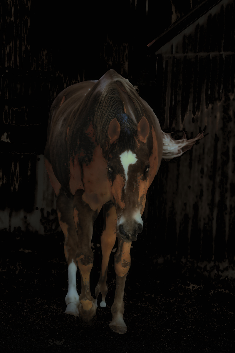 nightmare