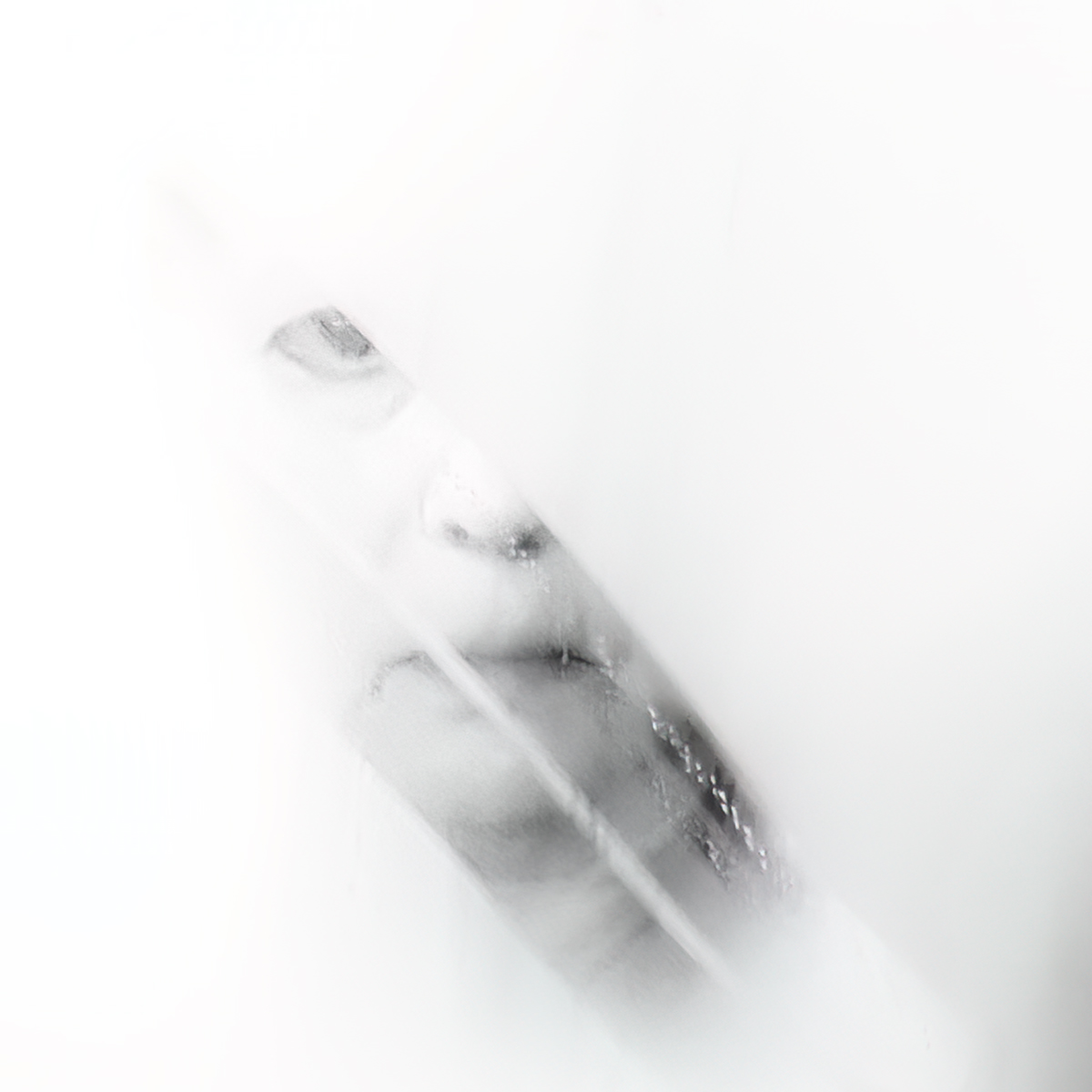 Through the Mist