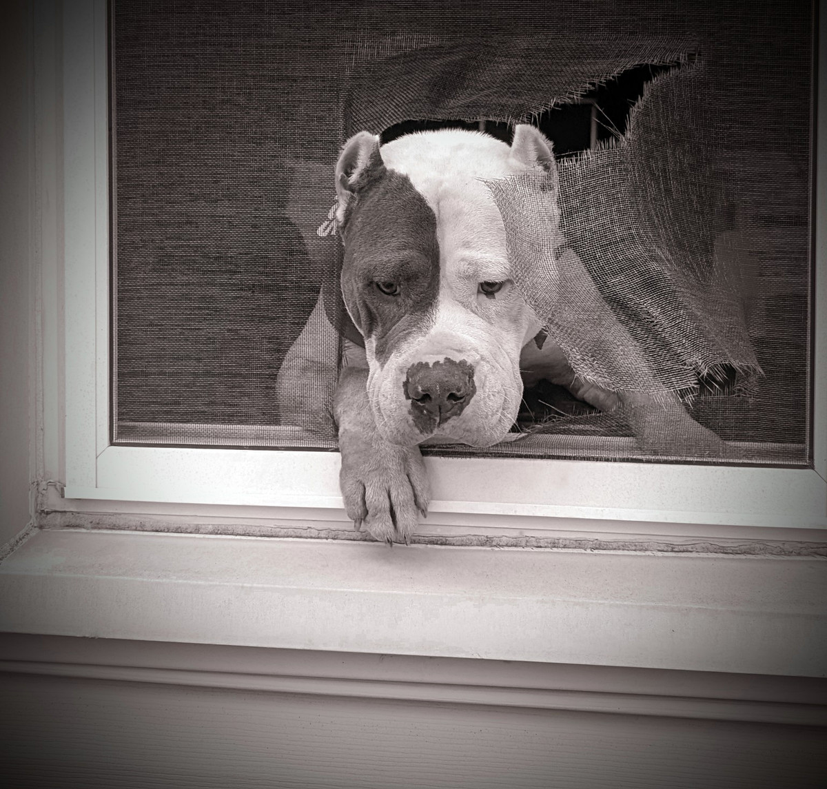 framed