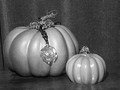 Jewelry and Pumpkins