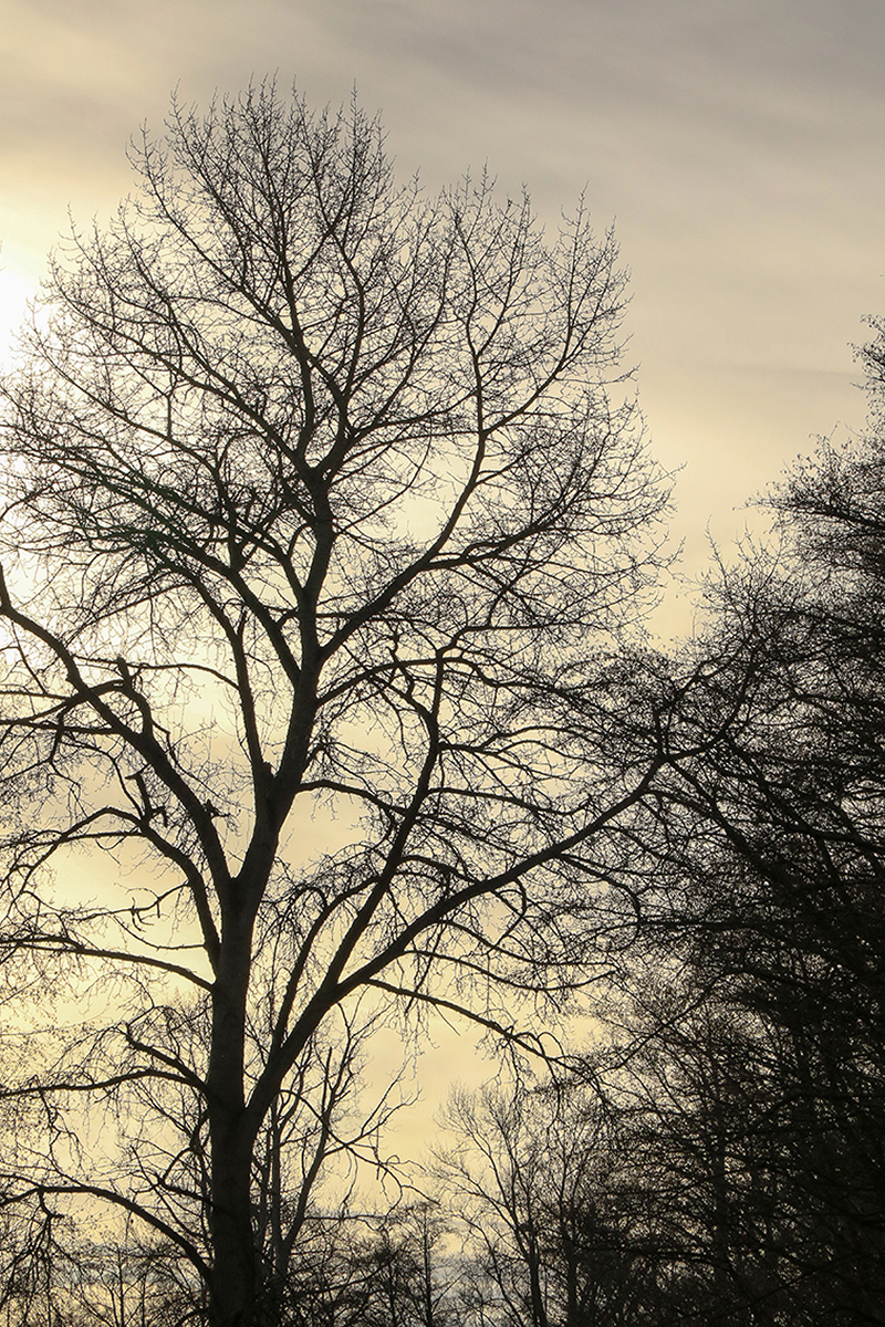 Cloudy Day Contre