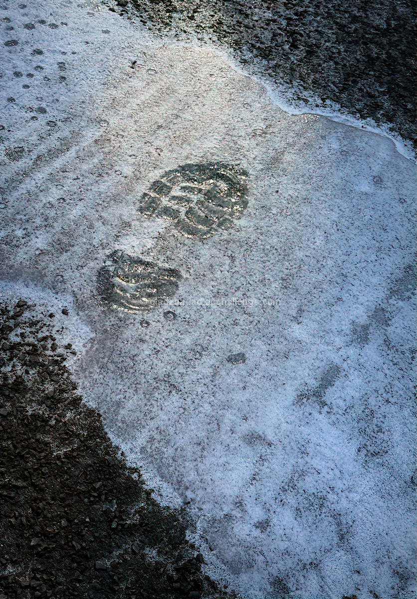 Bigfoot