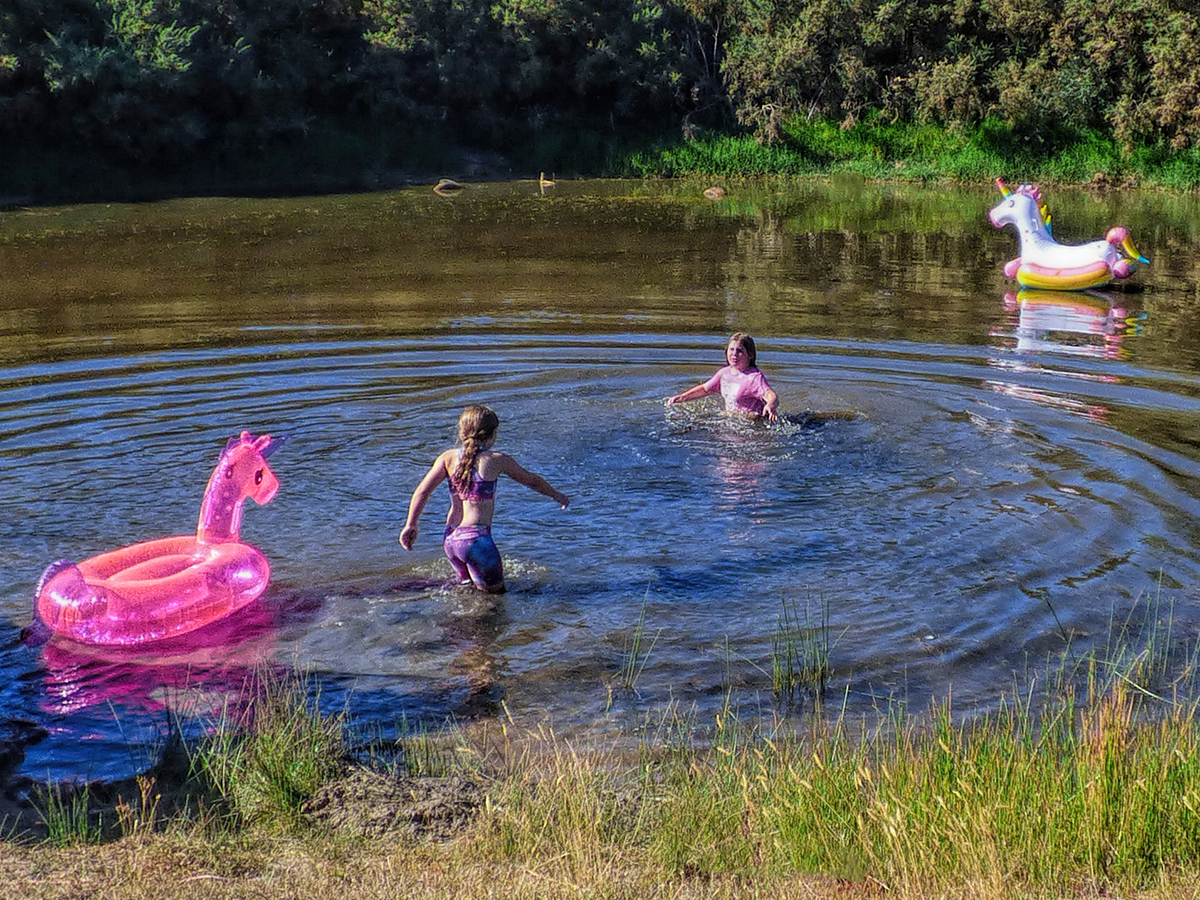 In the Unicorn Pond