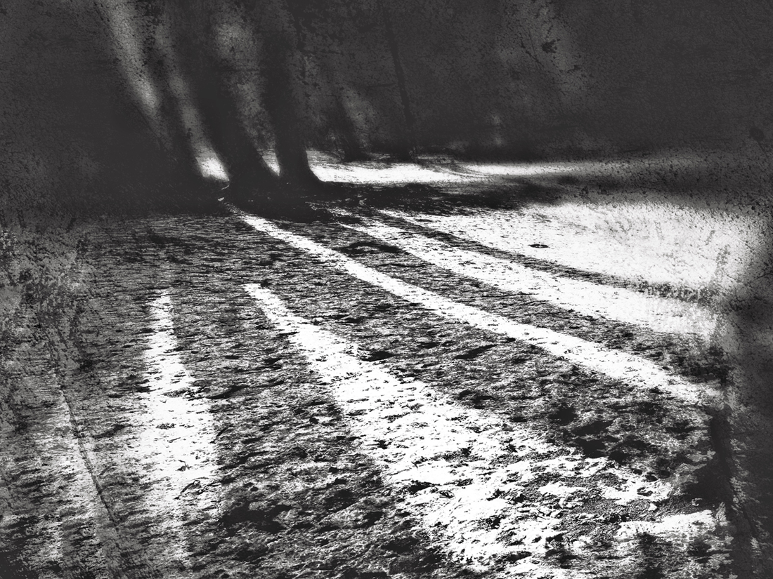 A Distant Call