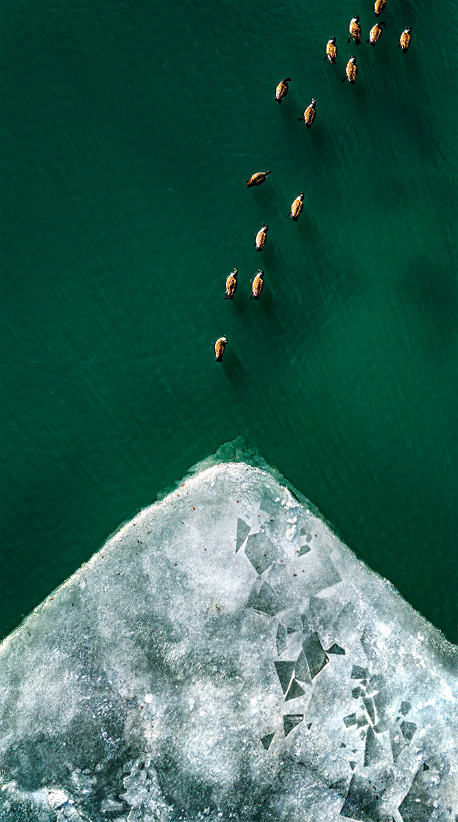 Winter's Geometry