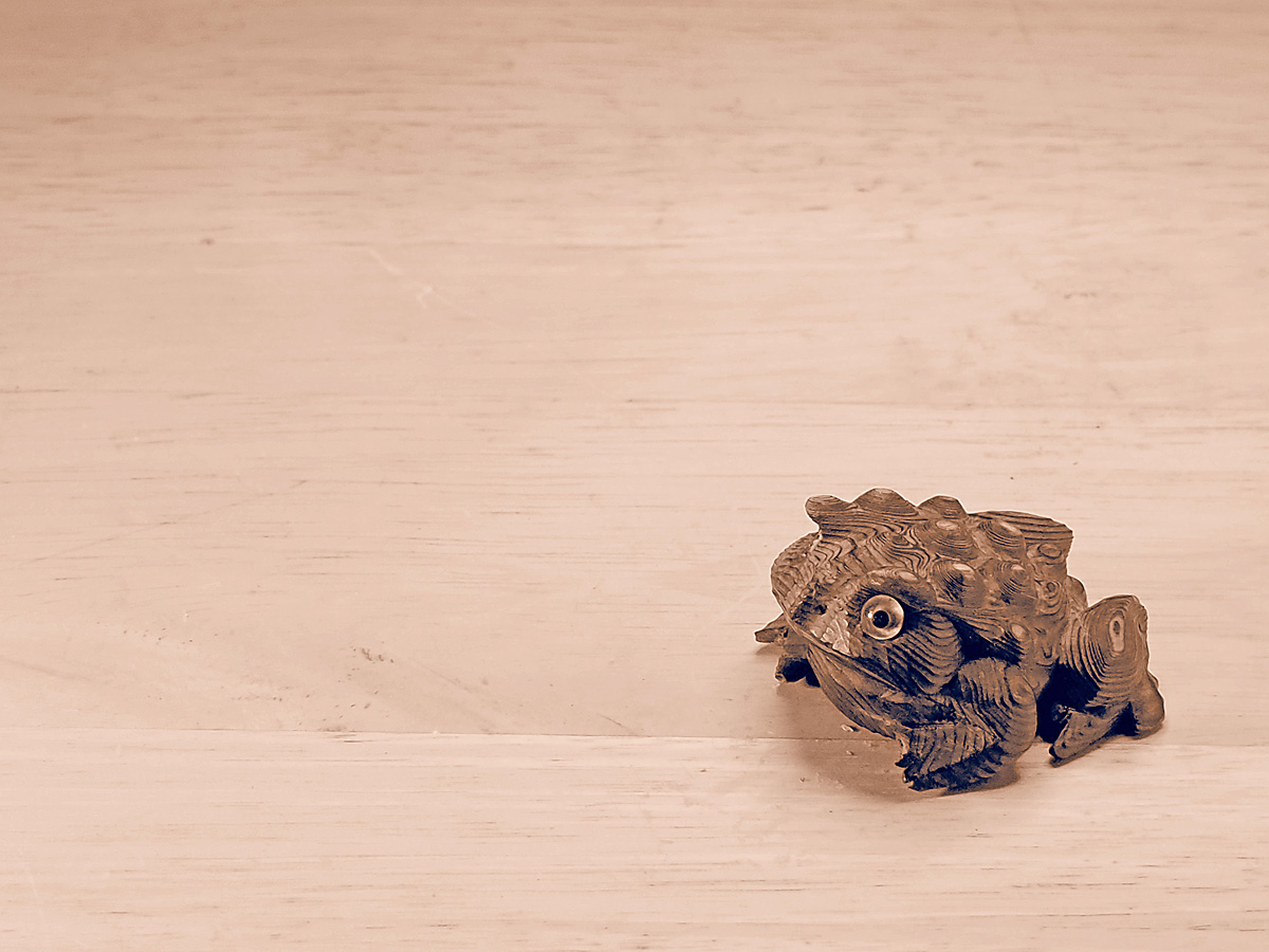 Wood Toad in Sepia