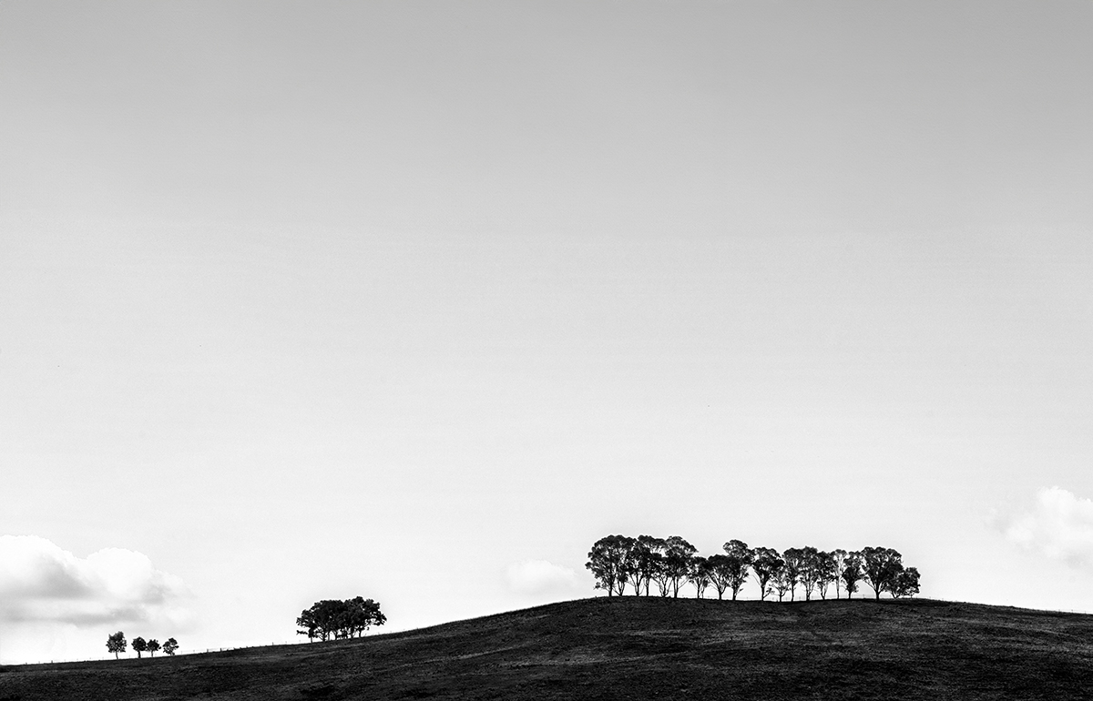 Standing Against The Sky