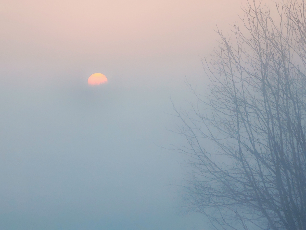 sunrise