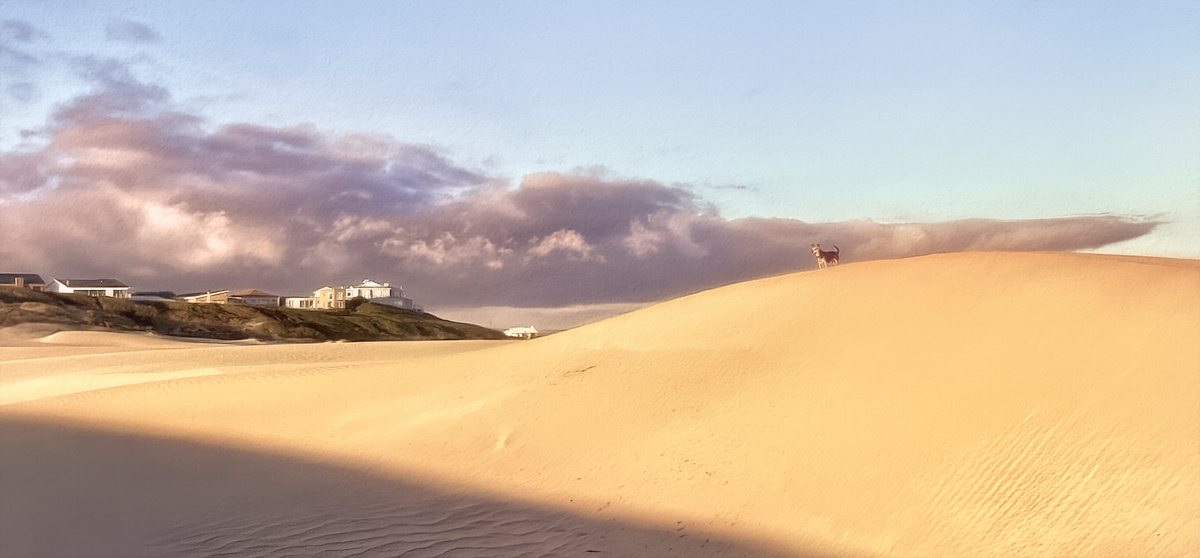 Little Dune Buggy