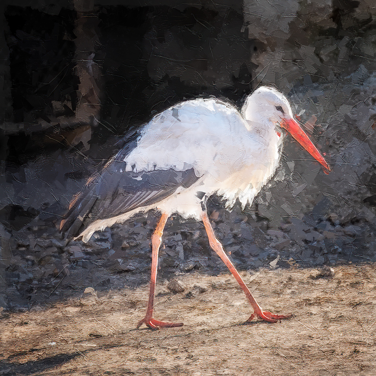 The Stately Stride