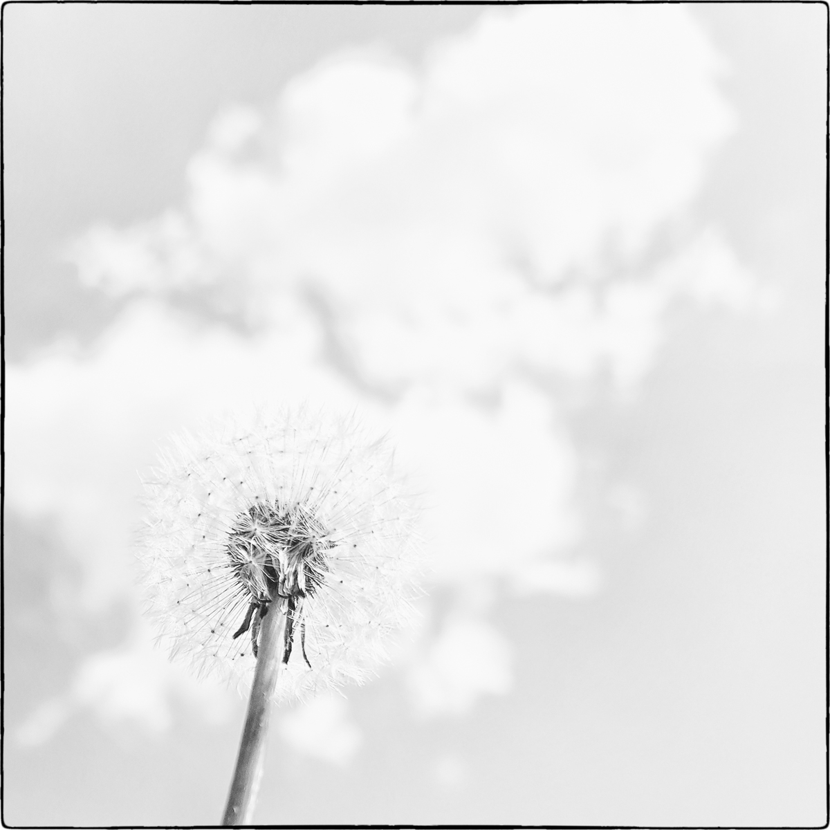 puff