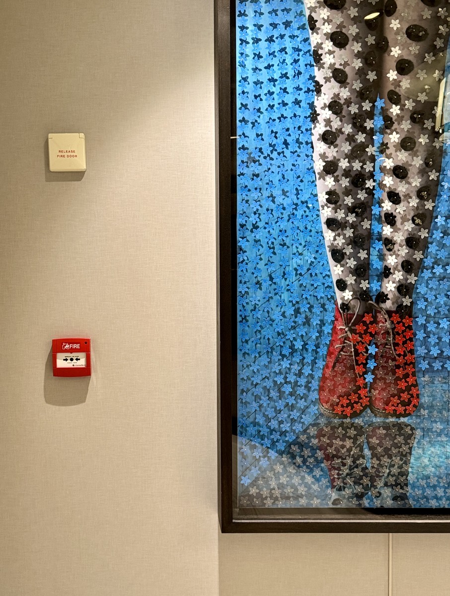 Art and Function