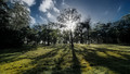 morning shadows