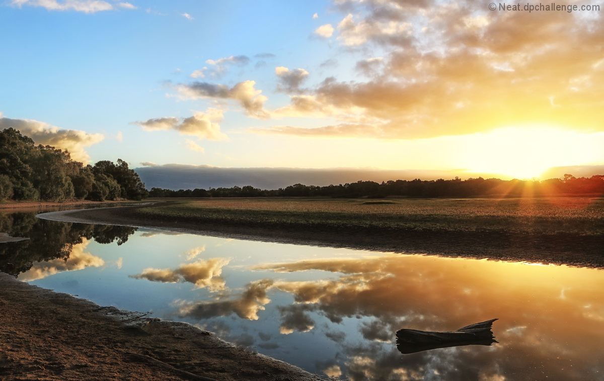 Reflective morning 