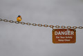 Danger Comes In All Sizes (Apparently)