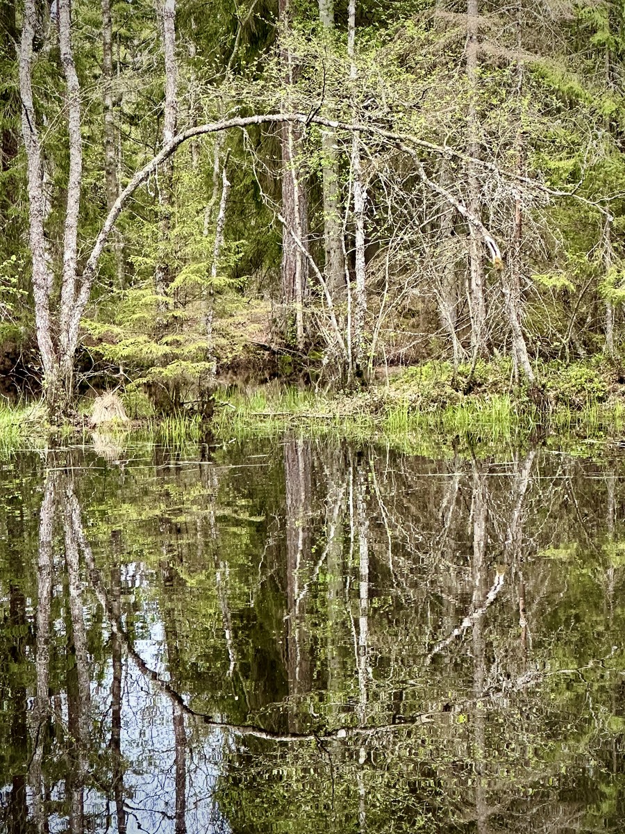 Nature's Harmony