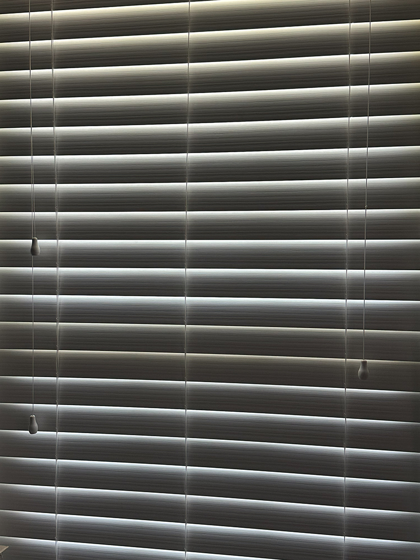 Midday Light, Spring 2025