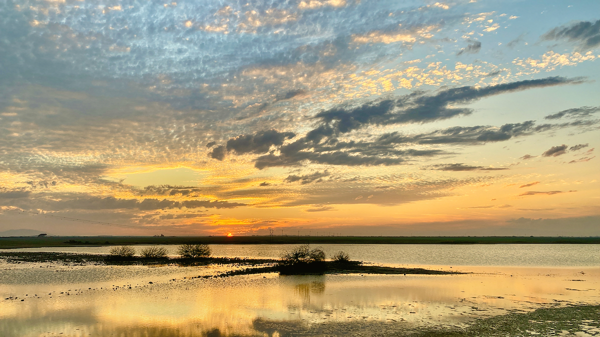 On Golden Pond