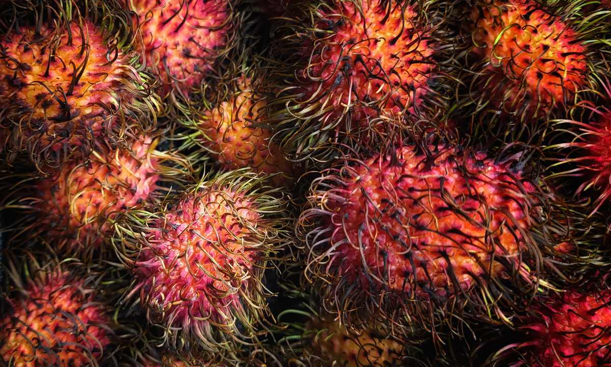 come buy our orchard fruits
