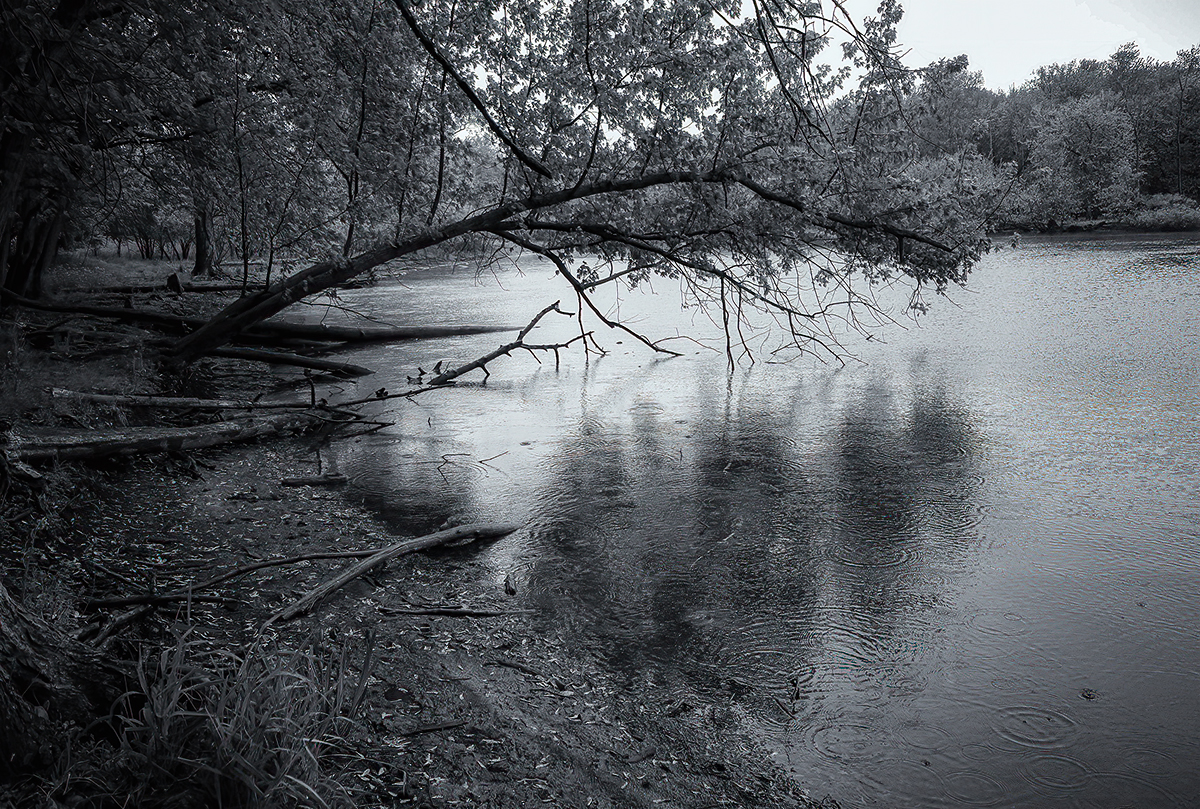 Along the Lagoon