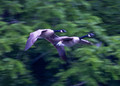 On The Move