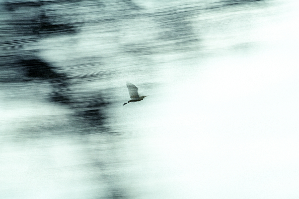 evanescent