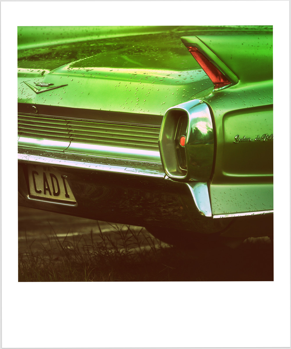 Cadi