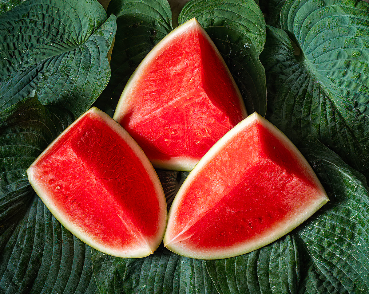 Summer's Offering