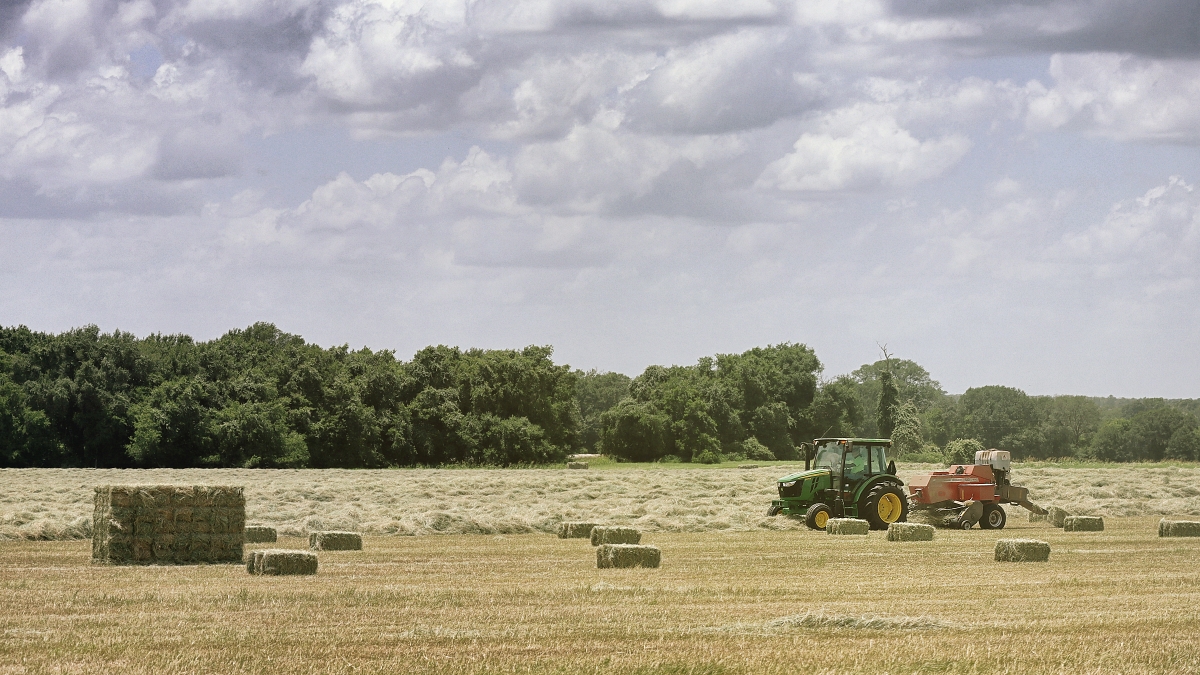 Summer hay operation