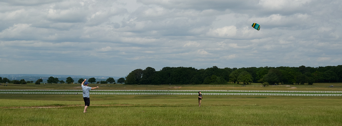 Go Fly a Kite