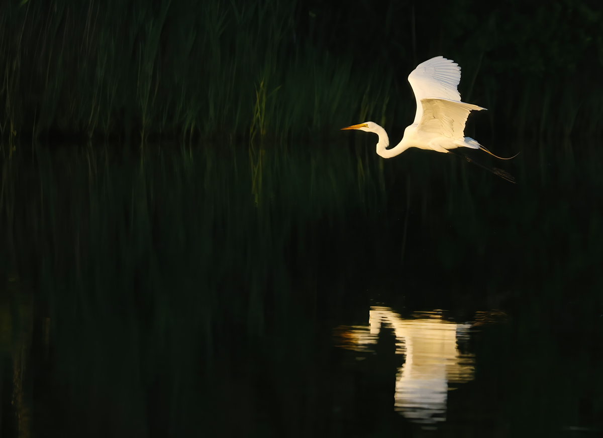 Toward the light
