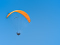 Like a bird