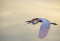Early morning flyby