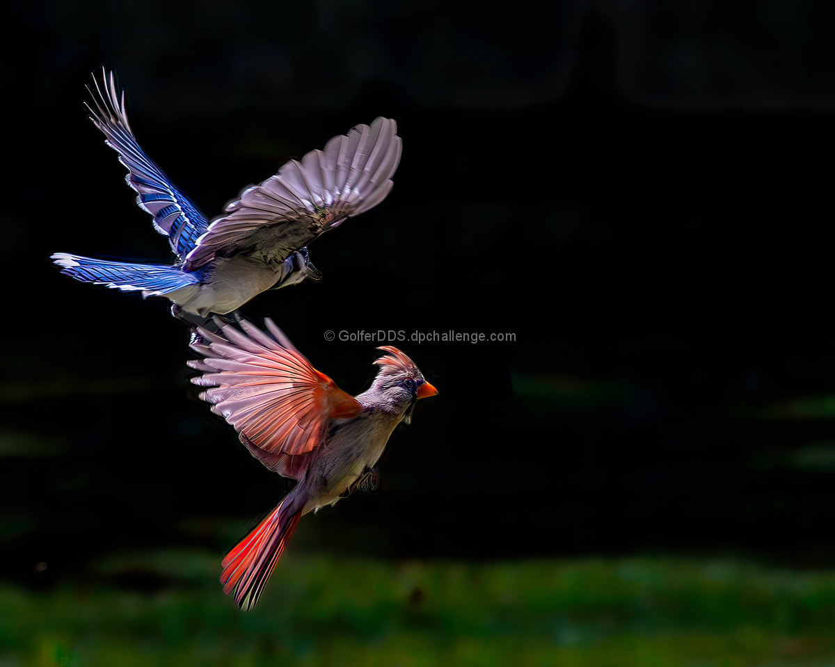 Red And Blue