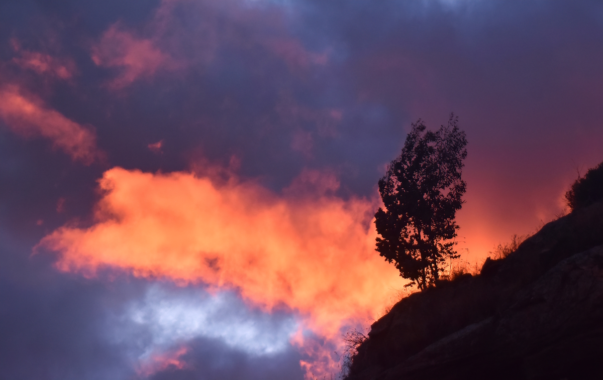 Windy Sunset