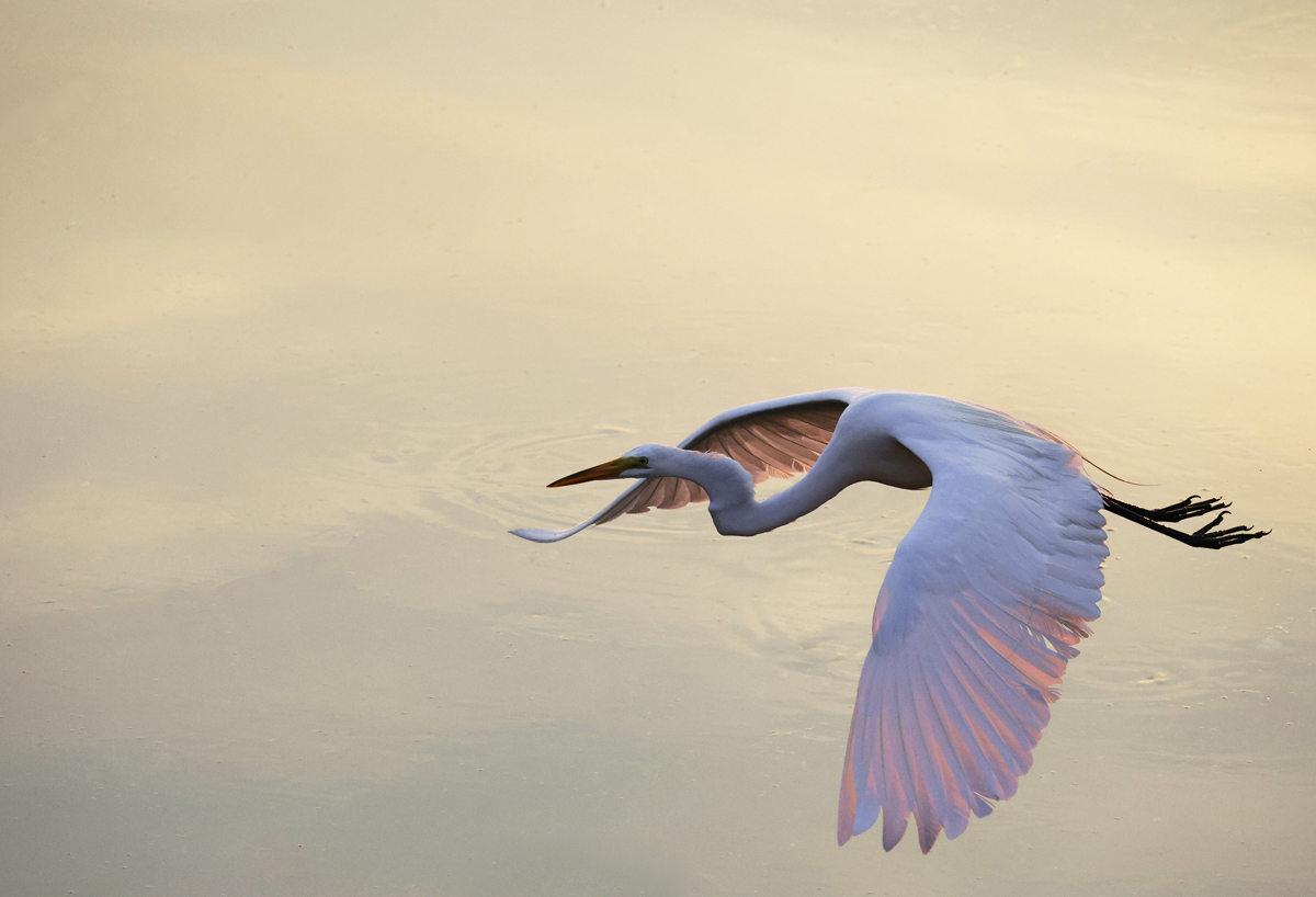 Early morning flyby