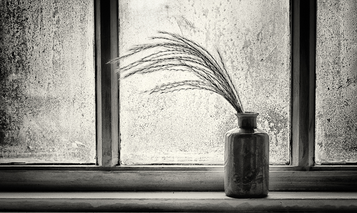 Still life on window sill