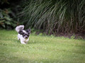 Catch Me If You Can