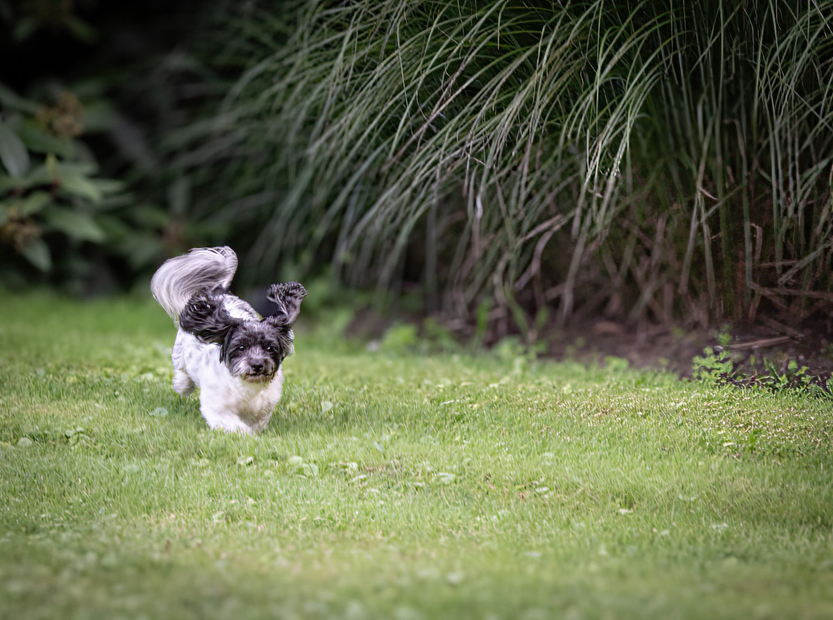 Catch Me If You Can