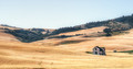 The Homestead