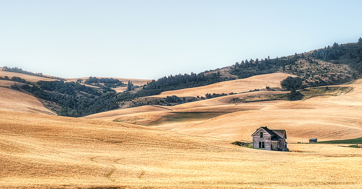 The Homestead
