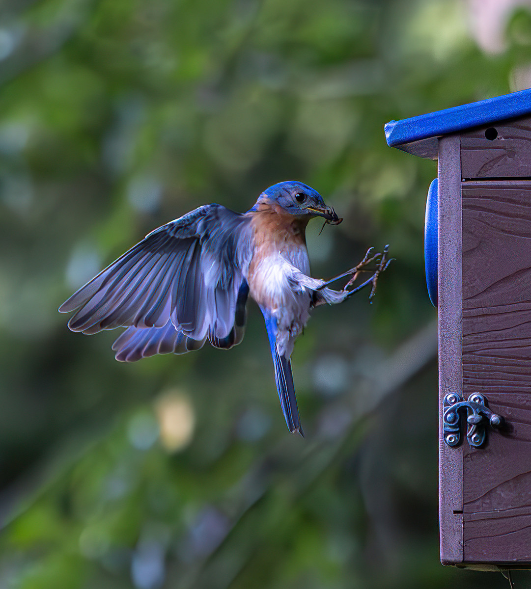 Feeding The Family