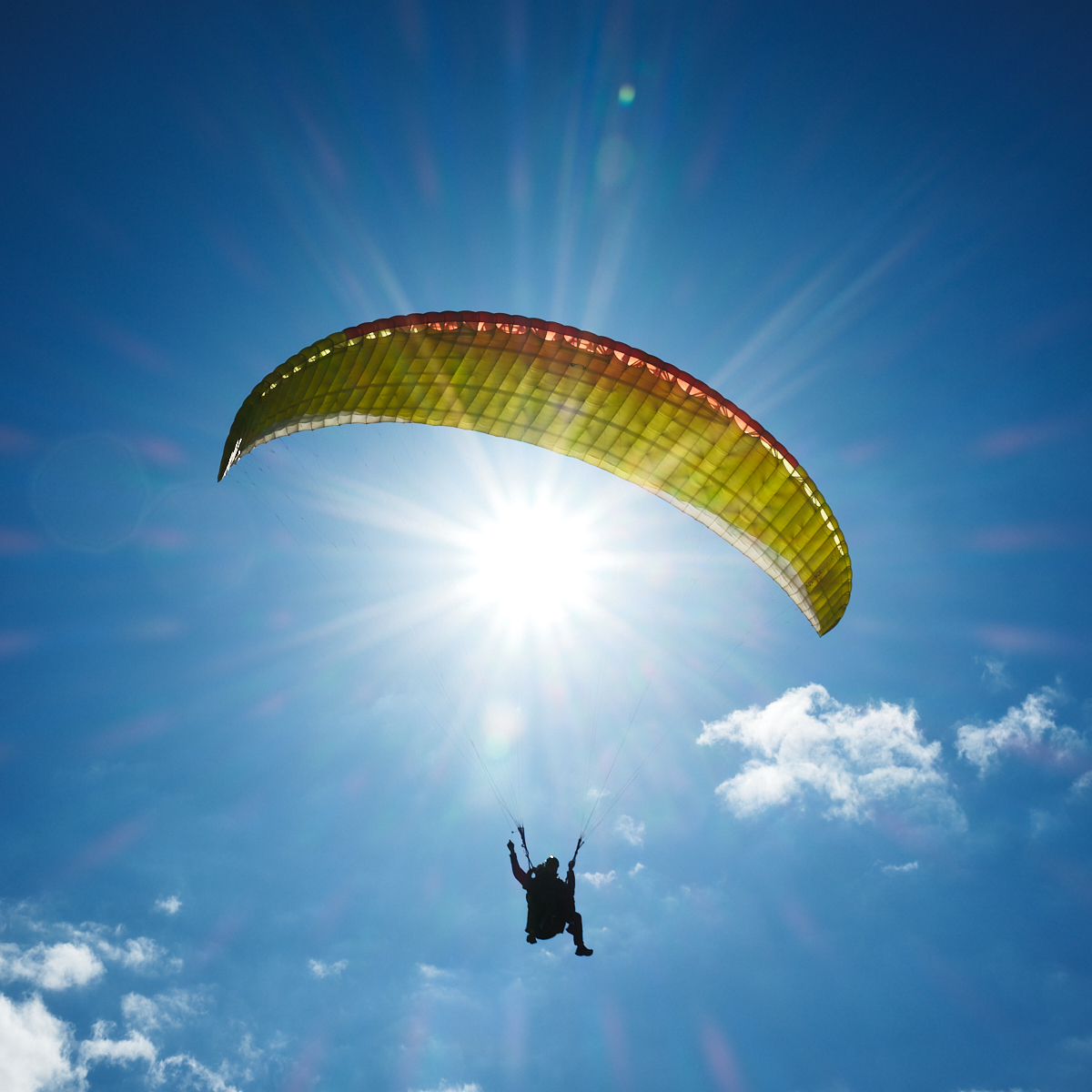 Flying High