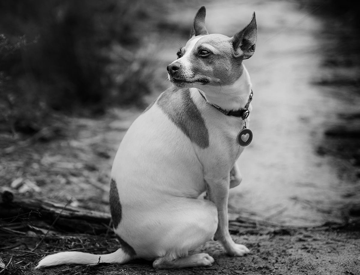 This is obviously my better side!