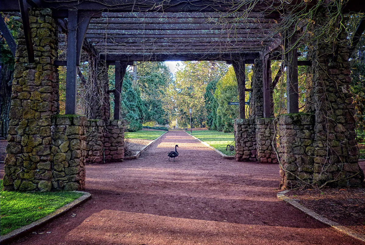 A View Through