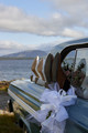 Wedding bliss