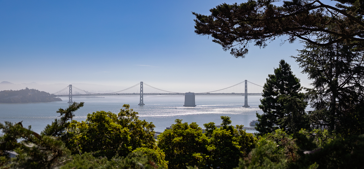 Whispers Across the Bay