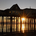 Pier Pilings